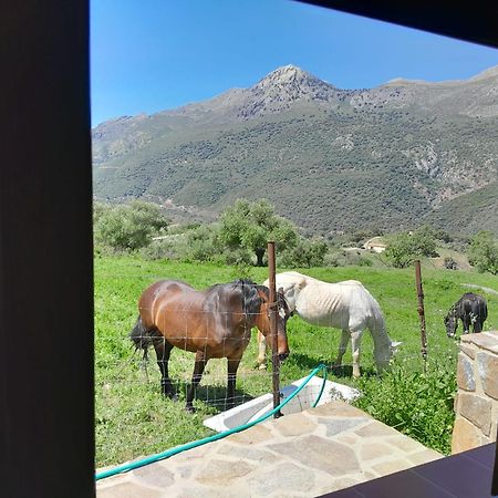 El Higueron Villa Jimera de Líbar Exteriör bild