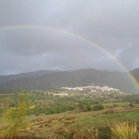 El Higueron Villa Jimera de Líbar Exteriör bild